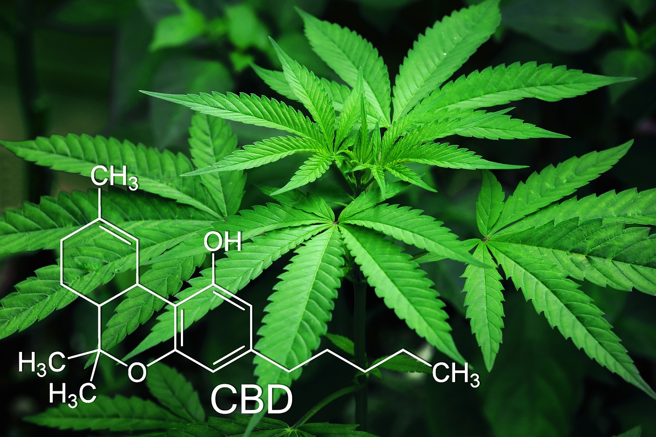CBD oil Benefits